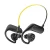 Black & Yellow